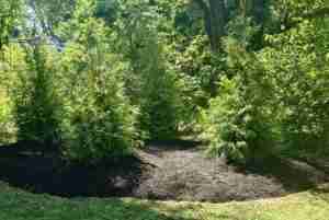 professional landscaping services in central NJ