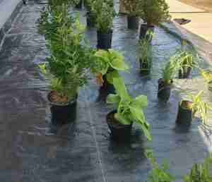 Professional landscaping NJ