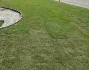 sod install near me