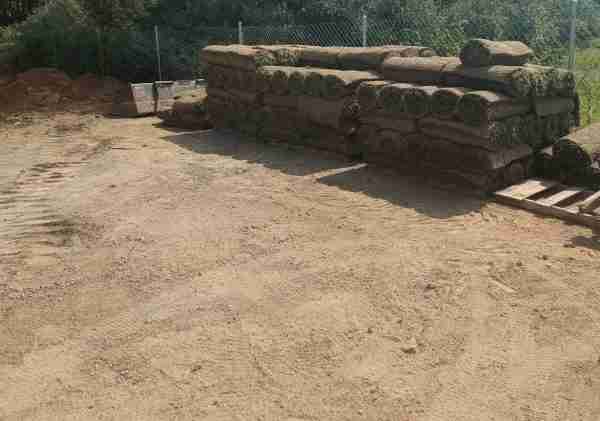 Fall Sod installation near me